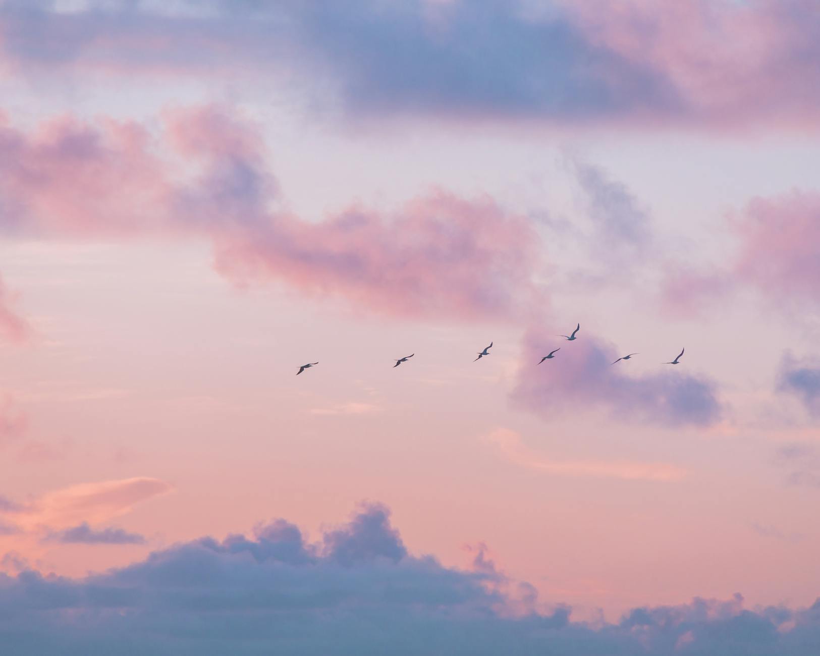 A tranquil twilight sky painted in pastels with a flock of birds in flight, creating a serene atmosphere.