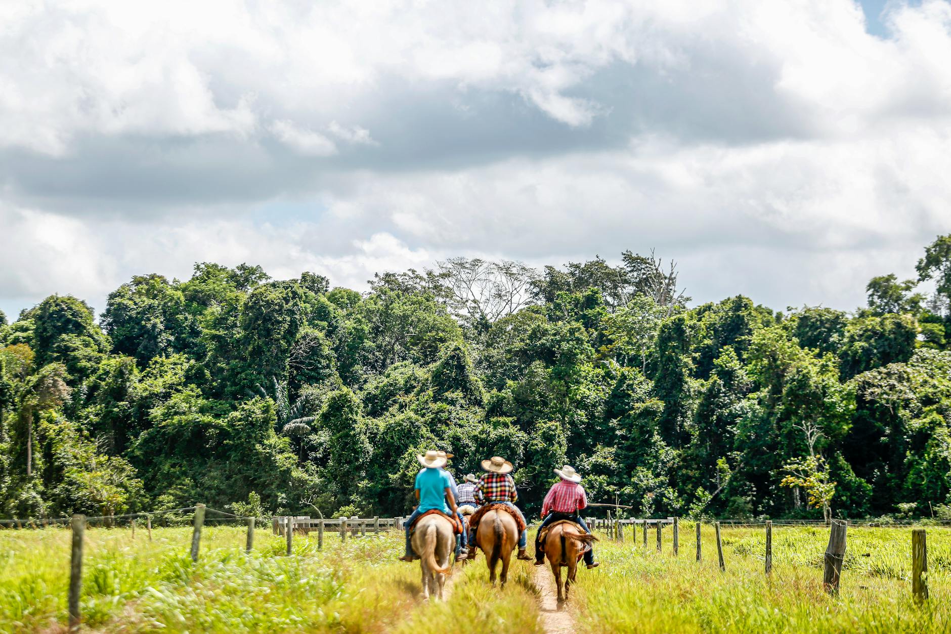 Three riders on horseback in a green field with a forest backdrop in Pará, Brazil.