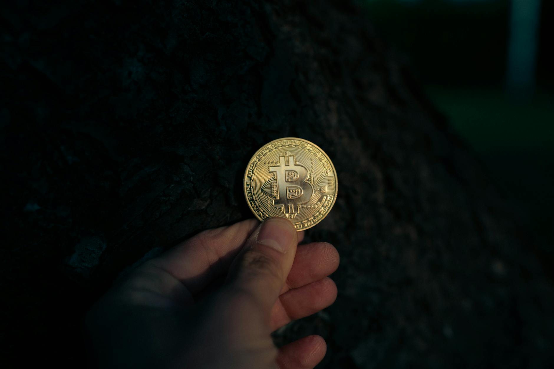 A close-up of a hand holding a Bitcoin coin outdoors against a dark tree background, illustrating cryptocurrency concepts.