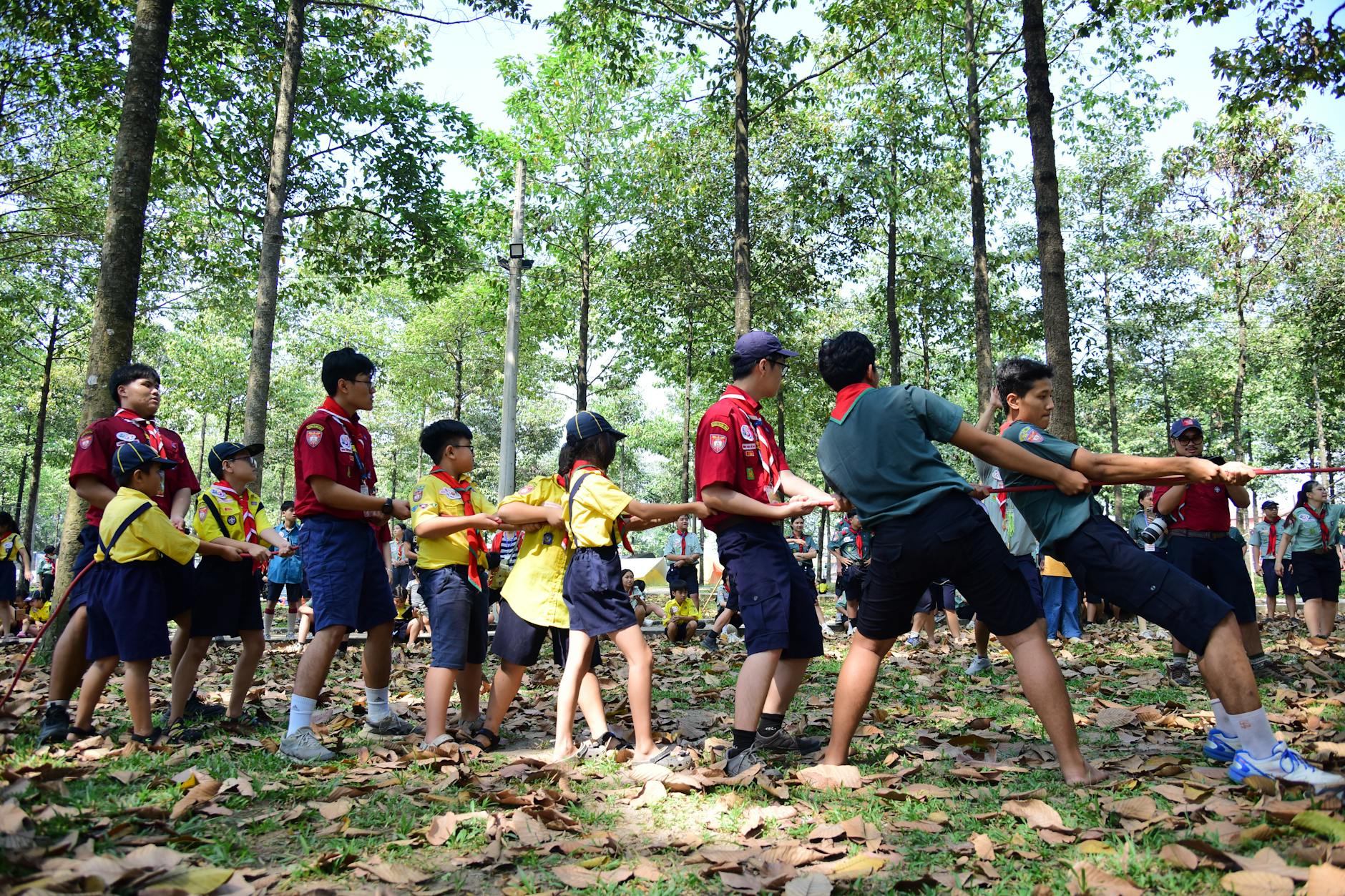 A group of children and adults engage in a tug of war competition during a scout camp in a forest setting.